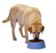 Macchina dell'espulsore dell'alimento per animali domestici di certificazione del CE per produrre a gatto del cane alimento per animali domestici con a basso rumore