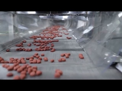 Linea di trasformazione di alimenti per animali domestici con estrusore per alimenti per cani con certificato CE completamente automatico