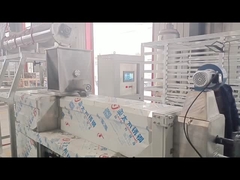 Linea di produzione di mangimi per pesci completamente automatica da 250 kg con controllo PLC