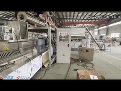 Linea di produzione di mangimi per pesci completamente automatica da 500 kg