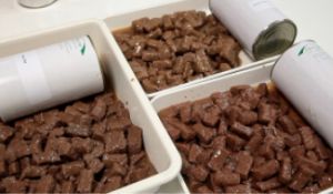 Linea di lavorazione professionale di alimenti per animali domestici / macchine per alimenti per animali