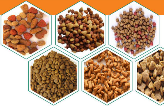 Macchina di produzione automatica di cibo per cani secco 500-600 kg/h