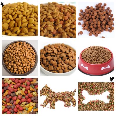 201 Macchina per la produzione di alimenti per animali domestici inossidabile completamente automatica, Macchina per l' estrussione di alimenti per cani