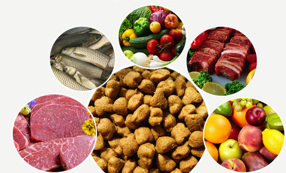 SBN Macchina di produzione alimentare preferita del cane completamente automatica