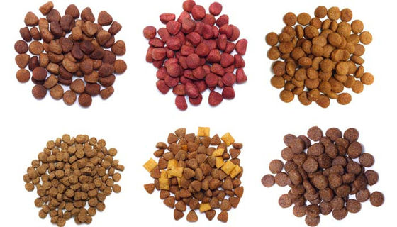Macchina automatica di produzione di mangimi per cani e gatti a cioccolato asciutto