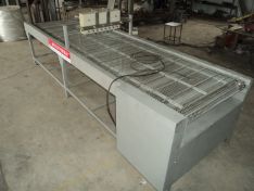 Linea di produzione estrusore per alimenti umidi per cani completamente automatica