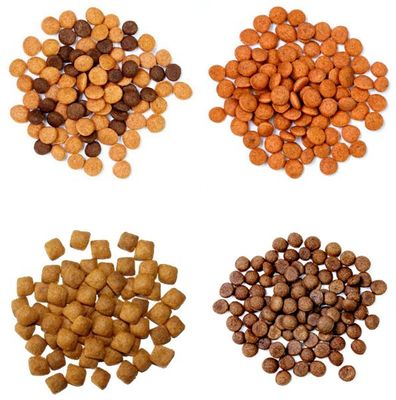 Linea di produzione automatica per la produzione di crocchette per cani con estrusore a formatura a secco