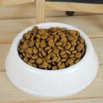 100 kg/h Macchina a pellet per cibo per cani