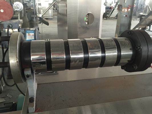 Linea di produzione di mangimi galleggianti per pesci da 100 kg/ora