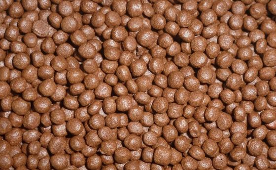 250 kg/h Linea di produzione di estrusori per mangimi per pesci piccoli