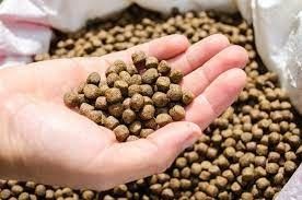 Macineria per la lavorazione automatica di pellet di mangimi per pesci galleggianti