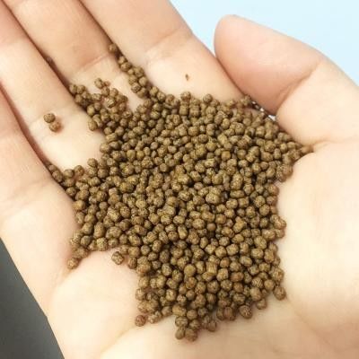 Macineria per la lavorazione automatica di pellet di mangimi per pesci galleggianti