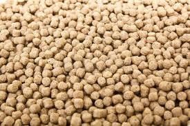 1-2 tonnellate/ora Linea di produzione di mangimi per pollame Macchine di produzione di mangimi per pesci
