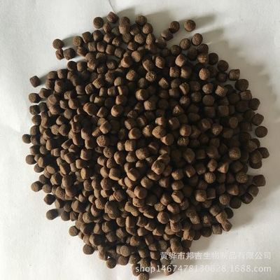 Macchine a pellet per mangimi galleggianti ad alte prestazioni