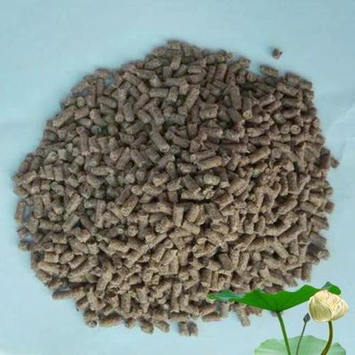 Macchine a pellet per mangimi galleggianti ad alte prestazioni