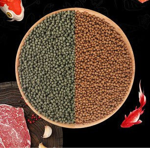 macchina della pallina dell'alimentazione del pesce di 50*4*5m SUS201 320kw 3t/H